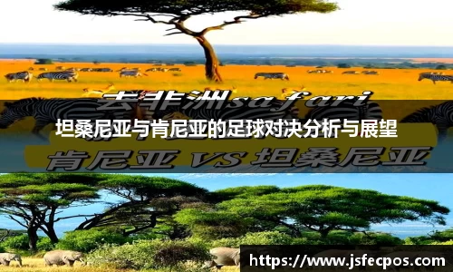 w66坦桑尼亚与肯尼亚的足球对决分析与展望
